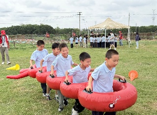 1791419183786884.jpg 微信图片_20261008081946_637_289.jpg